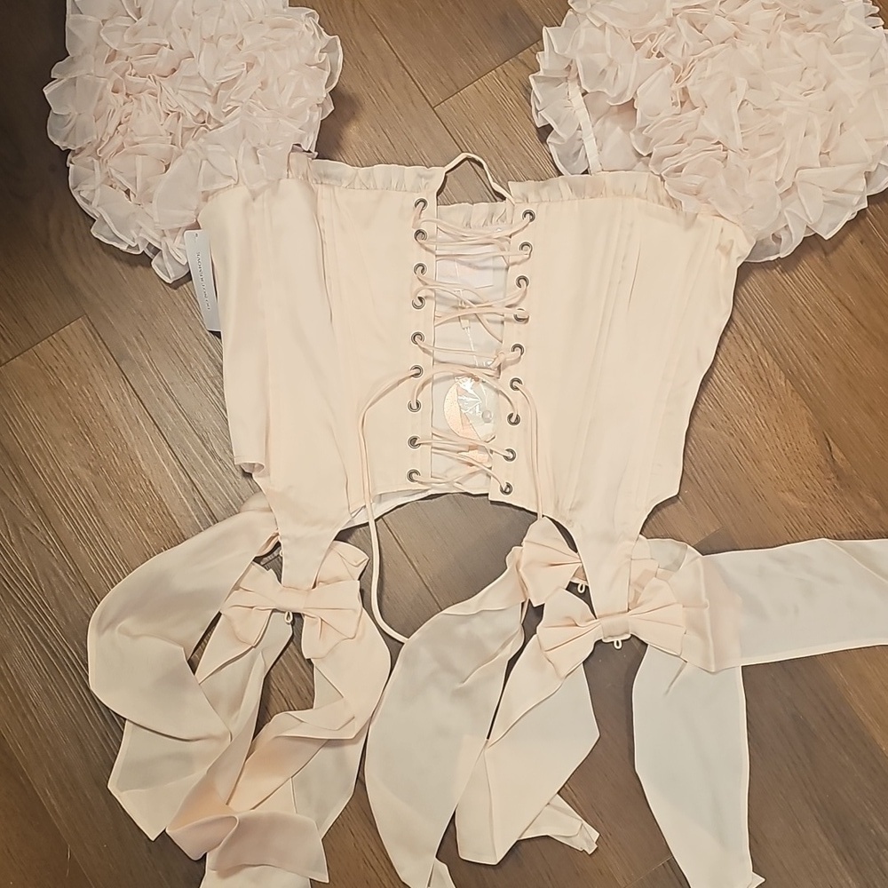 En Pointe Silk Paris Corset 1x - Picture 4 of 6